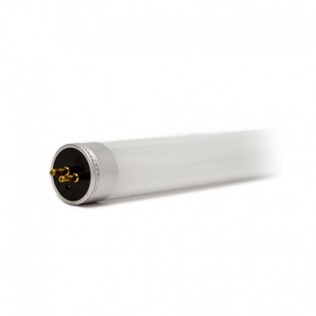 Tube LED T5 10W (720mm) blanc froid