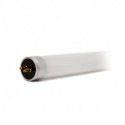Tube LED T5 8W (720mm) blanc froid