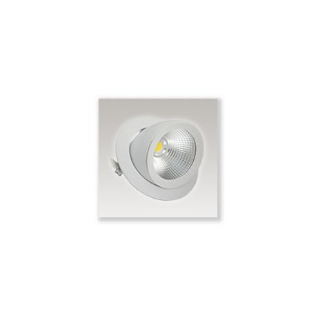Spot LED COB escargot 20W blanc chaud orientable