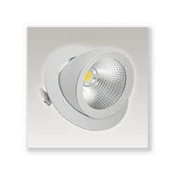 Spot LED COB escargot 10W blanc chaud orientable